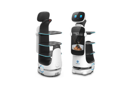 Интеллектуальный сервисный робот T10