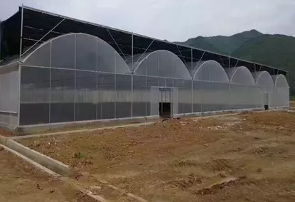 Теплица площадью 10000 м² для сельскохозяйственных/коммерческих целей Теплица площадью 10000 м² для сельскохозяйственных/коммерческих целей