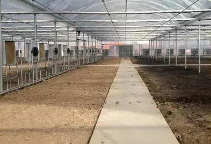 Теплица площадью 10000 м² для сельскохозяйственных/коммерческих целей Теплица площадью 10000 м² для сельскохозяйственных/коммерческих целей